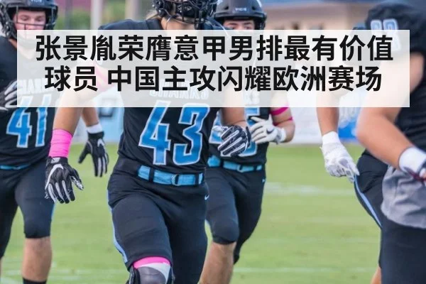 张景胤荣膺意甲男排最有价值球员 中国主攻闪耀欧洲赛场